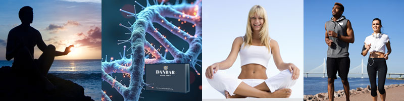 visual highlights of danbar servies