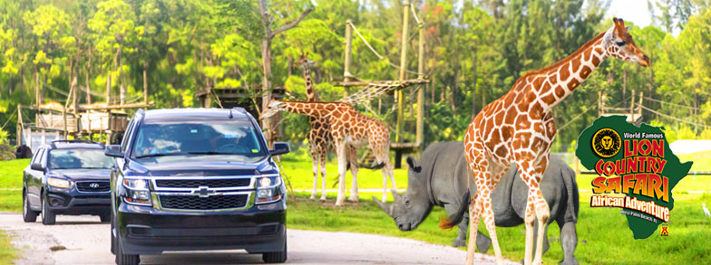 Lion Country Safari Attraction