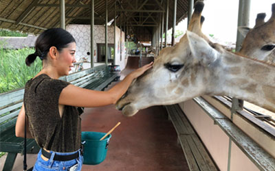 Picture of a woman feeding a giraffe at Lion Country Safari