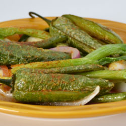 Mexican Food Entree 16