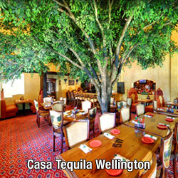 Mexican Food Entree 19