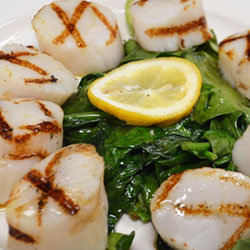 Italian Food Dish 1