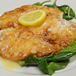 Italian Food Dish 5