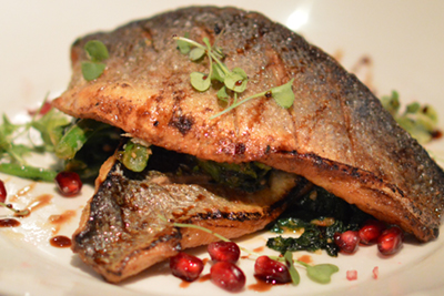 Display Image of Restaurant Food