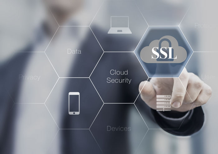 Free SSL Certificate with all website hosting packages.